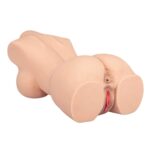 Realistic Torso - by Chic Females