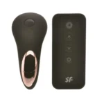 Satisfyer Little Secret Panty Vibrator