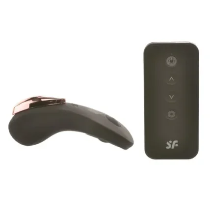 Satisfyer Little Secret Panty Vibrator